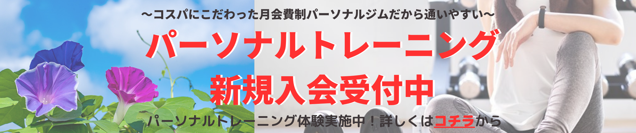 2025.7月